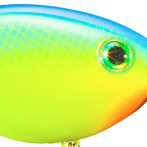 Powder Blue Back Chartreuse