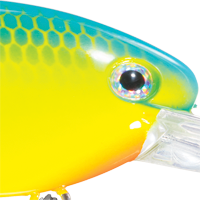 Powder Blue Back Chartreuse