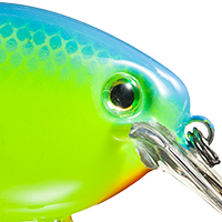 Powder Blue Back Chartreuse