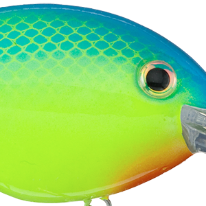 Powder Blue Back Chartreuse