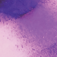 Prawn UV