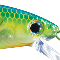 Pro Citrus Shad