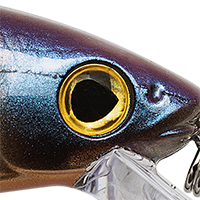 Pro TN Shad 2.0