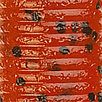 Pumpkin Black Flake
