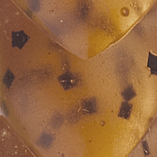 Pumpkin Chartreuse Tip