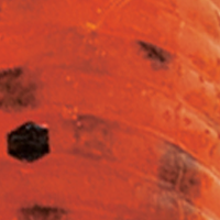 Pumpkin/Black Flake