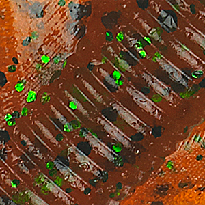 Pumpkin/Black Green Flake