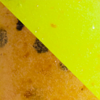 Pumpkin Chartreuse