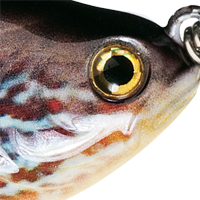 Pumpkinseed