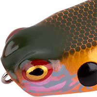 Pumpkin Seed