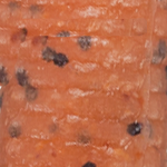 Pumpkin Seed