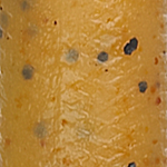 Pumpkin Seed