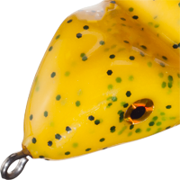 Pumpkin Seed