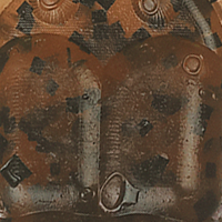 Pumpkin Seed Chartreuse Claw