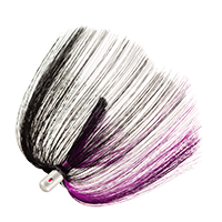 Purple/Black