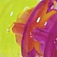 Purple/Chartreuse Tail