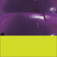 Purple/Chartreuse Tail