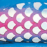 Holographic Purple Coe