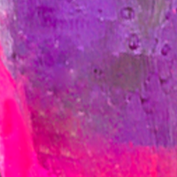 Purple Fire Tail