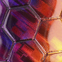 Purple/Orange