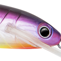 Purple Pearl