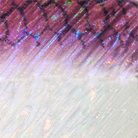 Purple Smelt