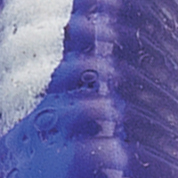 Purple/White Stripe