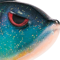 Rad Perch