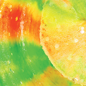 Rainbow Candy