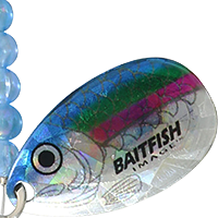 Rainbow Chub