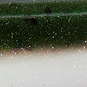 Rainbow Trout