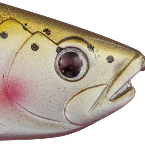 Rainbow Trout