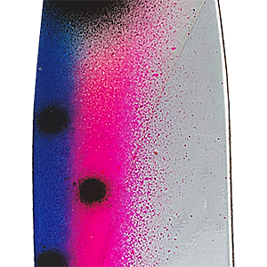 Rainbow Trout