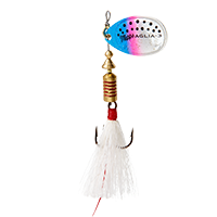Rainbow Trout White