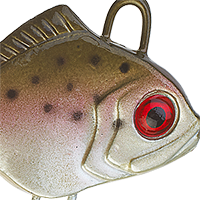 Rainbow Trout