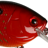 Rayburn Red
