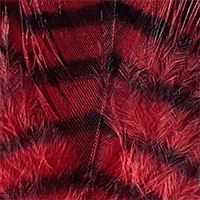 Red/Black