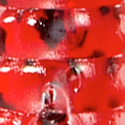Red Bug Shad