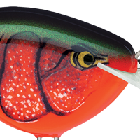 Red Crawdad