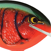 Red Crawdad