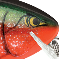 Red Crawdad