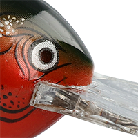 Red Crawdad