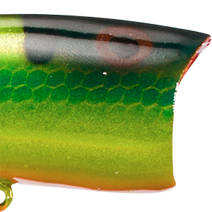 Red Eye Perch G-Finsh