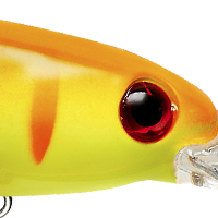 Red Firetiger