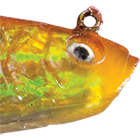 Redfish