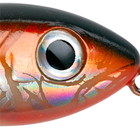 Redfish