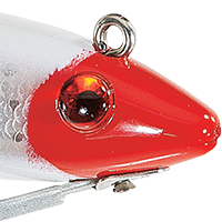 Red Head/Silver Scale