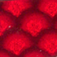 Red Scale