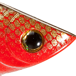 Red Shad