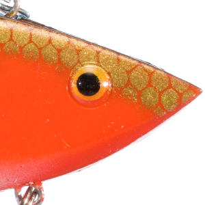 Red Shad